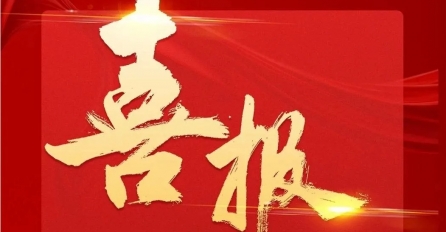 中達集團及多家子公司上榜2024年嘉興民營企業百強榜單！